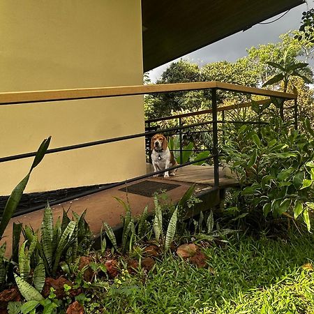 شقة Modern Loft Inside A Beautiful Farm General Viejo المظهر الخارجي الصورة