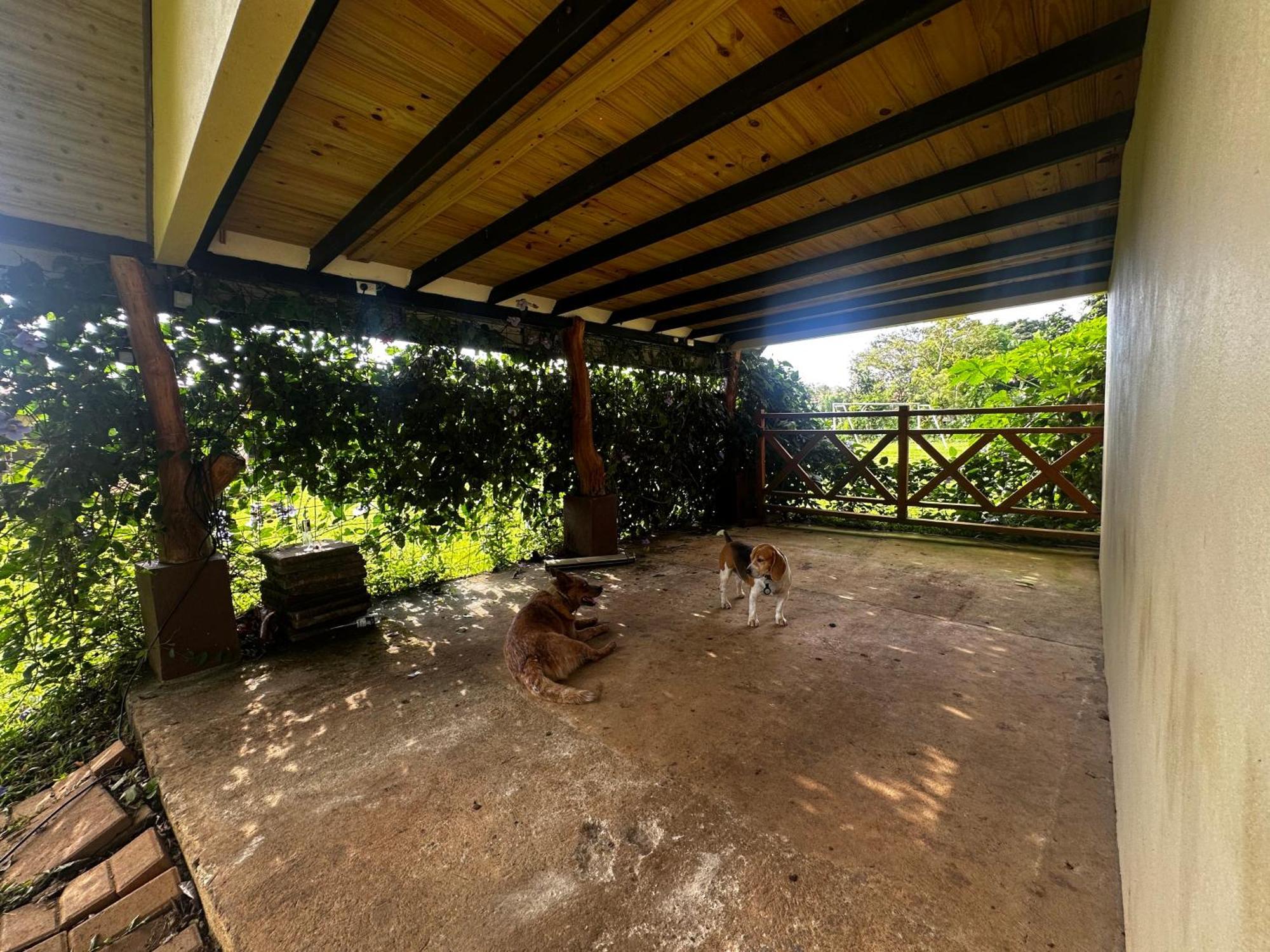 شقة Modern Loft Inside A Beautiful Farm General Viejo المظهر الخارجي الصورة